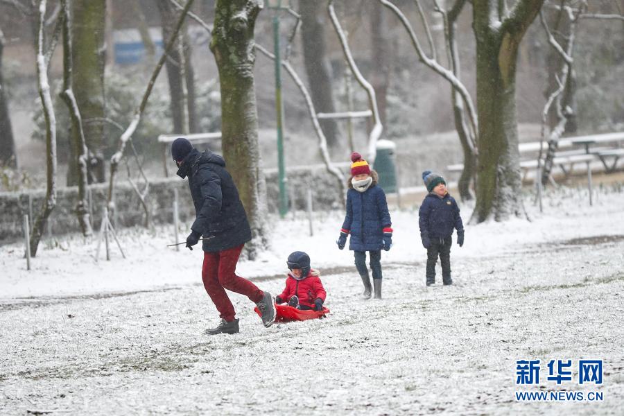 　　2月7日，人们在比利时布鲁塞尔的五十周年纪念公园玩雪。　　当日，比利时首都布鲁塞尔迎来降雪天气，众多市民外出赏雪、游玩。　　新华社记者 张铖 摄