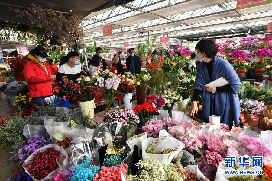 　　2月8日，市民在山东省青岛市崂山区一花卉市场选购鲜花。　　随着新春佳节的临近，各地花卉市场渐渐热闹起来。　　新华社发（王海滨 摄）