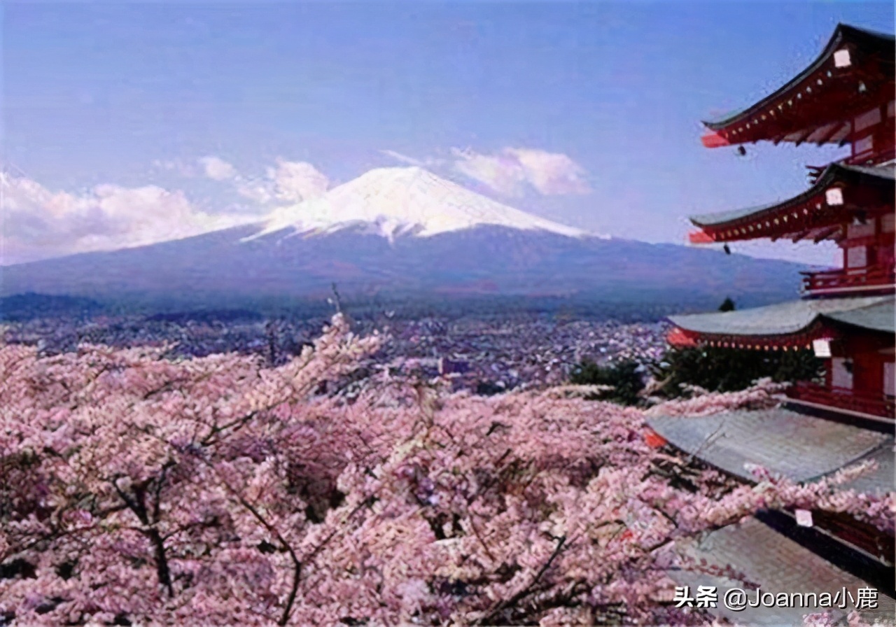 日本八大早樱景区，哪些地方最适合欣赏樱花？