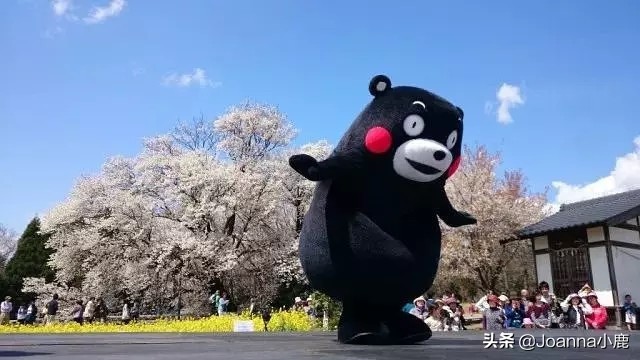 日本八大早樱景区，哪些地方最适合欣赏樱花？