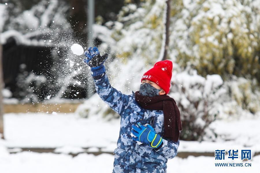 2月14日，一名儿童在阿尔巴尼亚首都地拉那的雪地里玩耍。地拉那13日夜间迎来降雪。新华社发（根特·奥努齐摄）