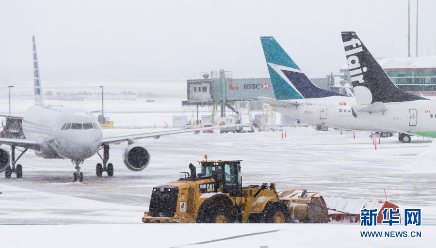 2月16日，加拿大安大略省多伦多及周边地区普降大雪。新华社发（邹峥摄）