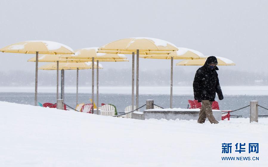 2月16日，加拿大安大略省多伦多及周边地区普降大雪。新华社发（邹峥摄）