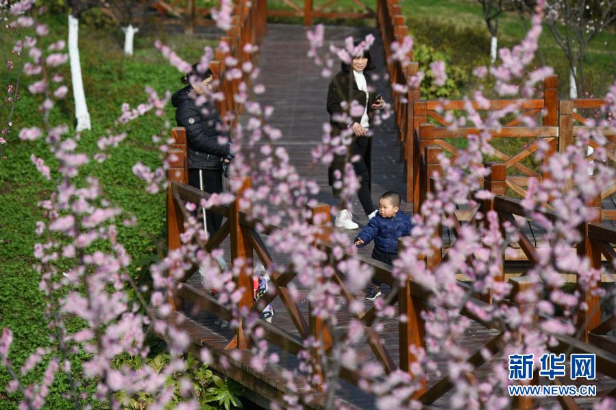 　　2月17日，家长带着孩子在合肥市匡河岸边游玩。新华社记者 张端 摄