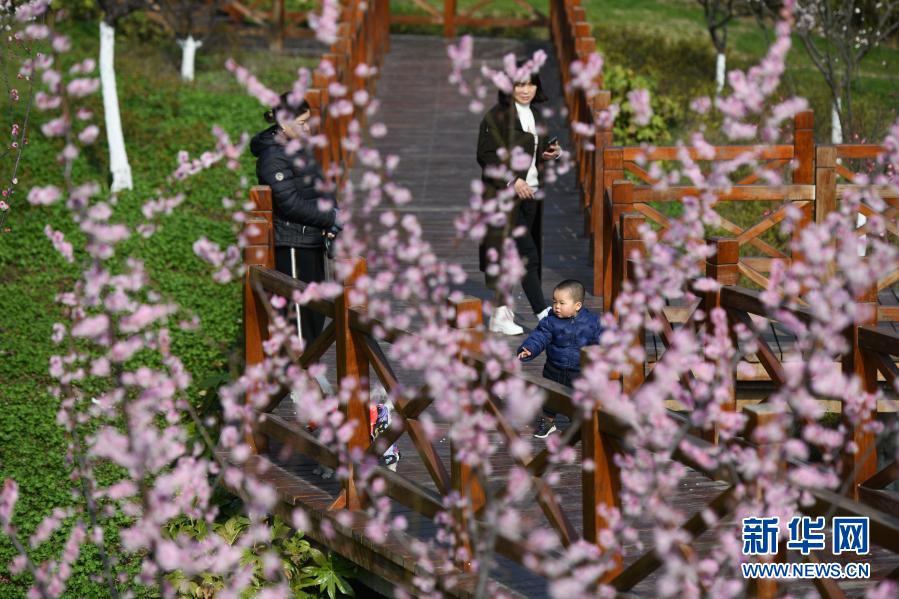 　　2月17日，家长带着孩子在合肥市匡河岸边游玩。新华社记者 张端 摄