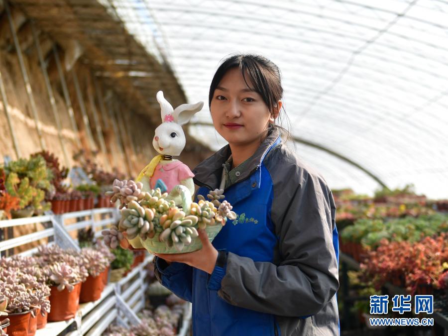 　　在青海省海东市平安区平安镇白家村富硒果蔬种植基地的大棚里，韩颖在展示一盆多肉植物（2月8日摄）。新华社记者 张龙 摄