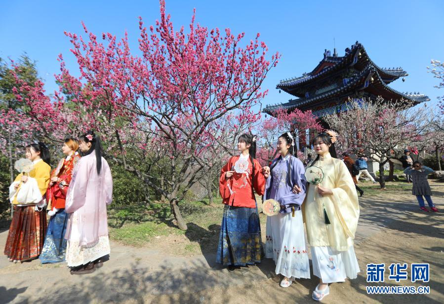 　　2月19日，游客在南京梅花山赏花游玩。　　当日，2021第26届中国南京国际梅花节在南京梅花山正式开幕，本届梅花节以“梅绽金陵 礼赞百年”为主题，结合即将在南京举行的第三十届中国戏剧梅花奖颁奖典礼，采用线上线下并举的形式举行“梅开盛世”“梅韵流声”“梅香满园”“梅露茶香”“梅语鹿鸣”五大主题活动。　　新华社发（丁亮 摄）