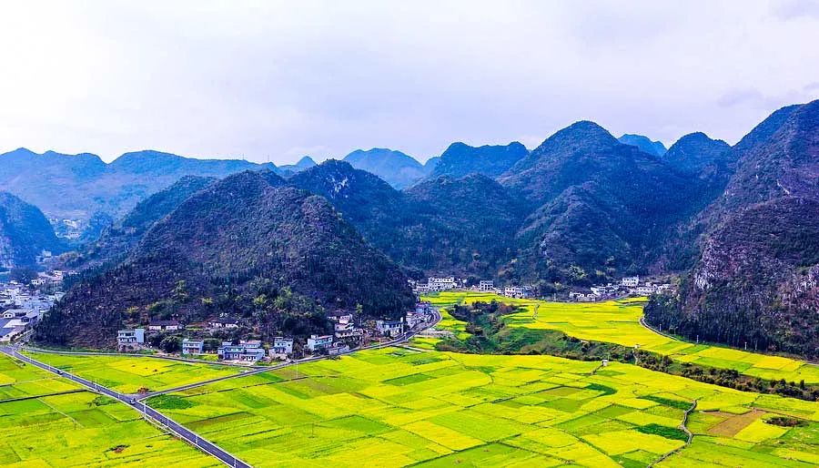 中国最美的14处油菜花海,从2月美到8月,一望无际