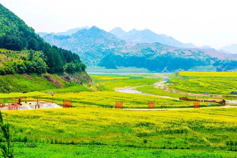 中国最美的14处油菜花海,从2月美到8月,一望无际