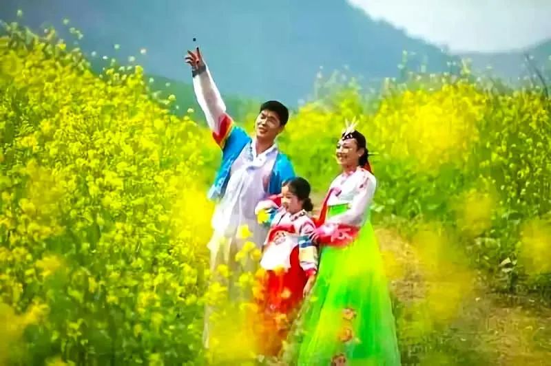 中国最美的14处油菜花海,从2月美到8月,一望无际