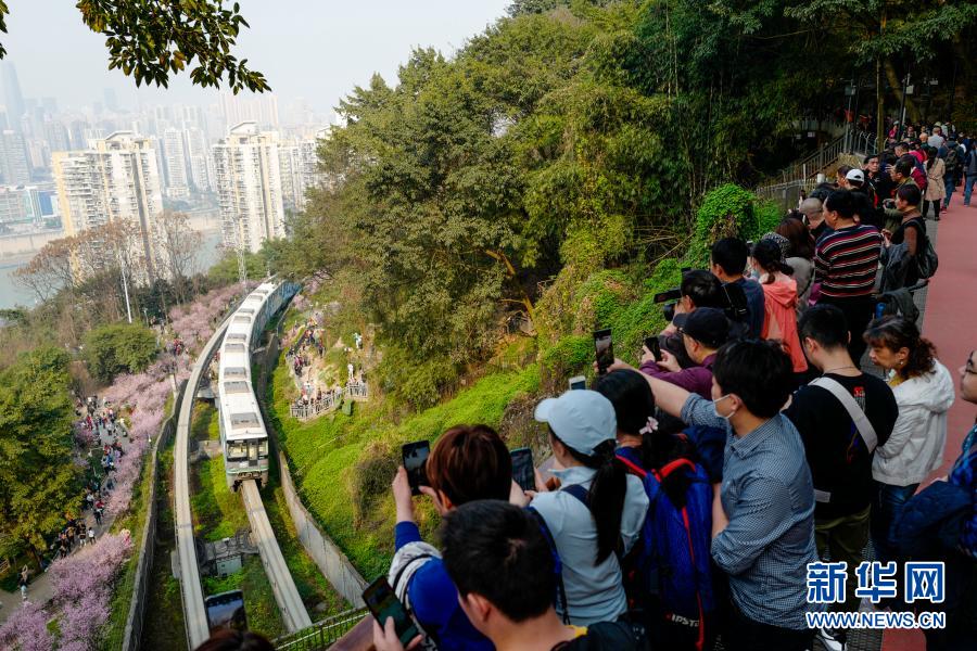 2月23日，在重庆轨道交通2号线佛图关段，游客在山城步道上拍摄穿越花海的单轨列车。初春时节，重庆气温逐渐回暖，暖阳里的山城春意盎然。在重庆轨道交通2号线佛图关段，山城步道上的梅花簇簇绽放，单轨列车穿越花海，组成一幅赏心悦目的独特城市景观。新华社记者 刘潺 摄