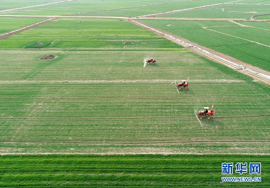 2月23日，在安徽省五河县临北回族乡段庄村，农民驾驶农业机械在麦田喷洒农药（无人机照片）。