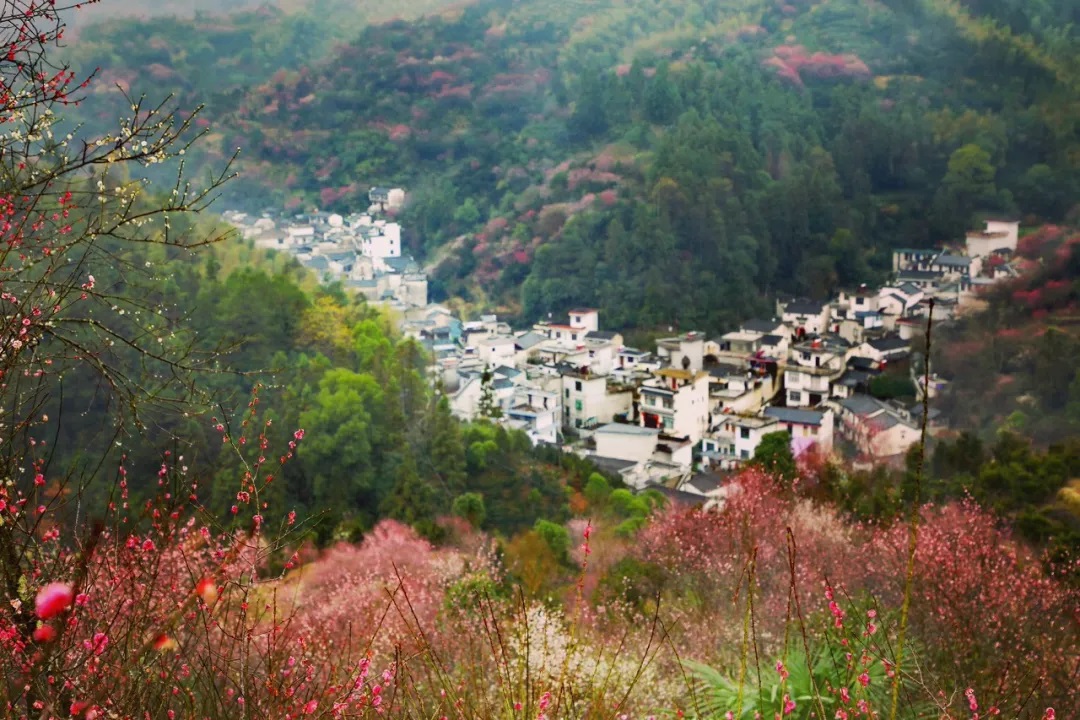 春天最适合小住三五天的12个地方,错过这些美景,又要等一年
