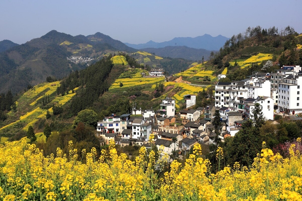 春天最适合小住三五天的12个地方,错过这些美景,又要等一年