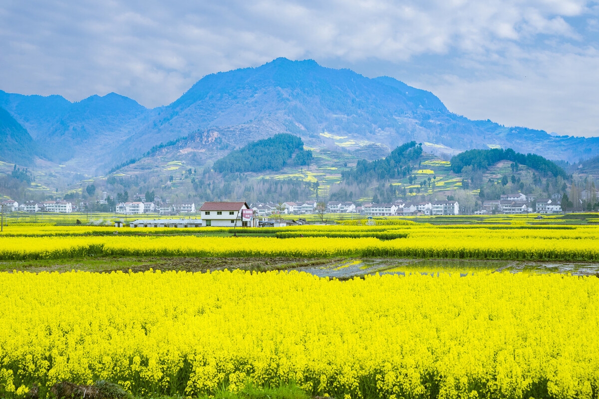 春天最适合小住三五天的12个地方，错过这些美景，又要等一年