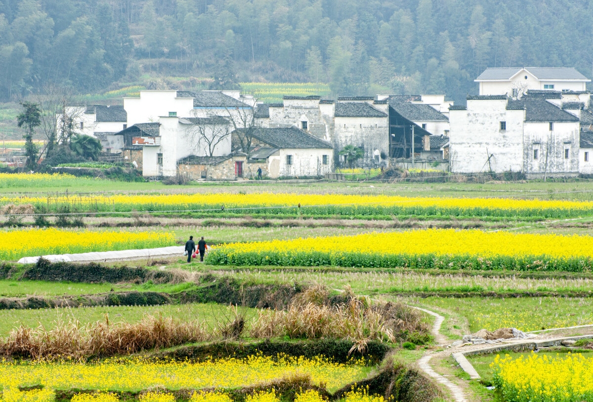 春天最适合小住三五天的12个地方,错过这些美景,又要等一年