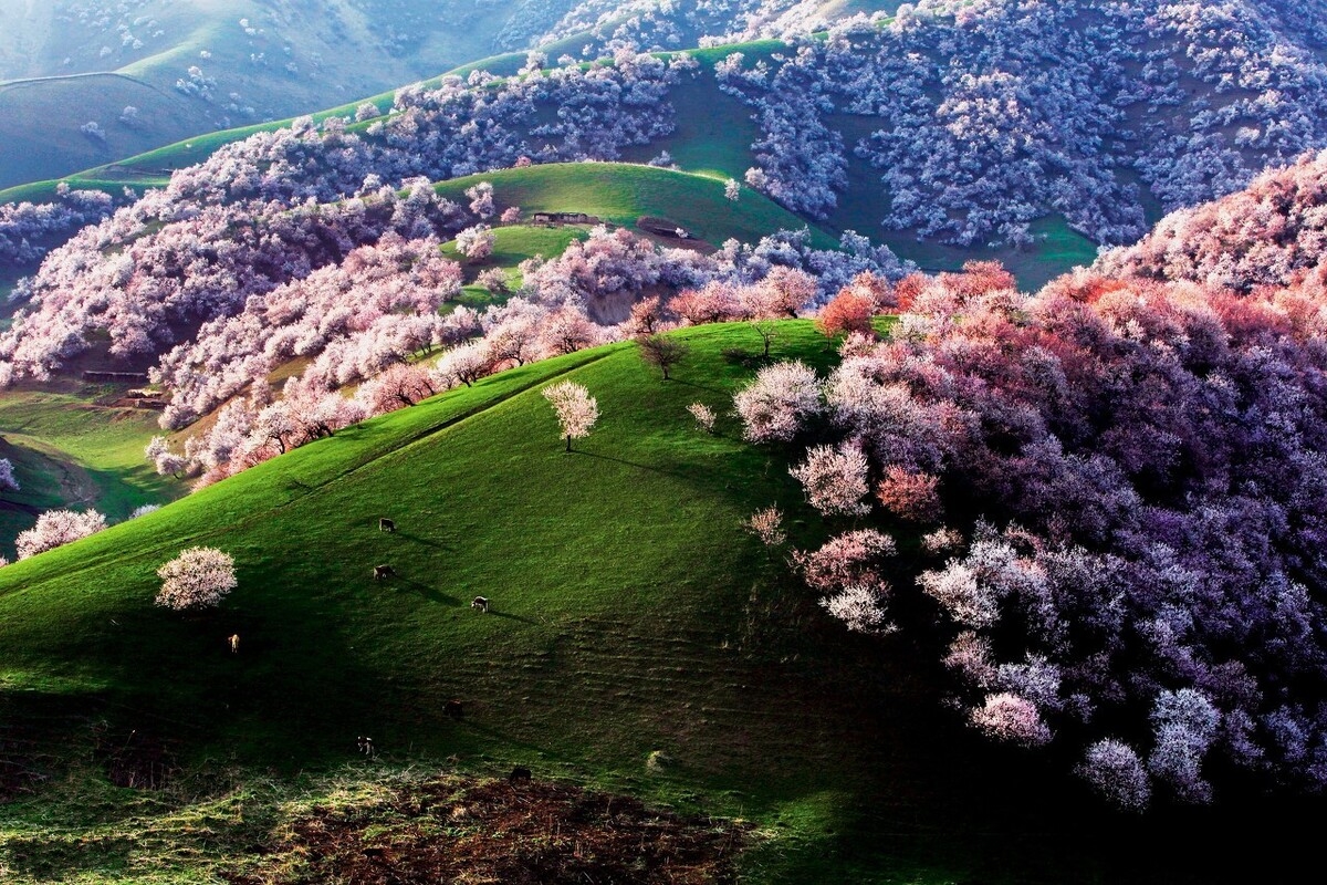 春天最适合小住三五天的12个地方,错过这些美景,又要等一年