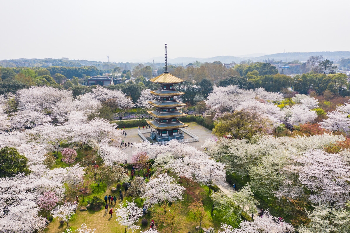 春天最适合小住三五天的12个地方,错过这些美景,又要等一年