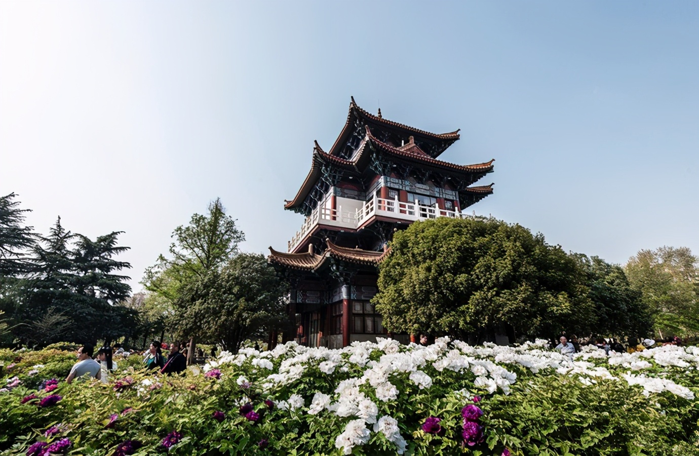 春天最适合小住三五天的12个地方,错过这些美景,又要等一年