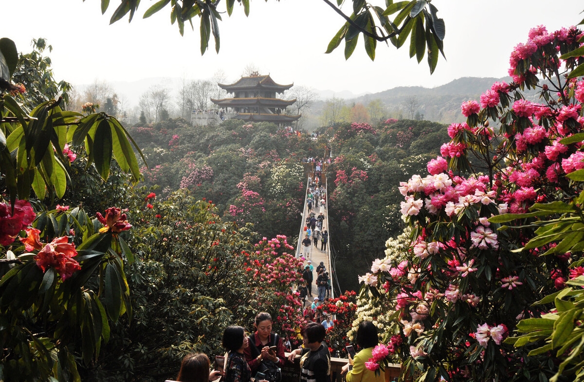 春天最适合小住三五天的12个地方,错过这些美景,又要等一年