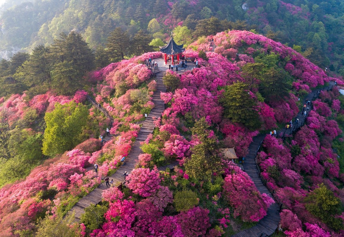 春天最适合小住三五天的12个地方,错过这些美景,又要等一年