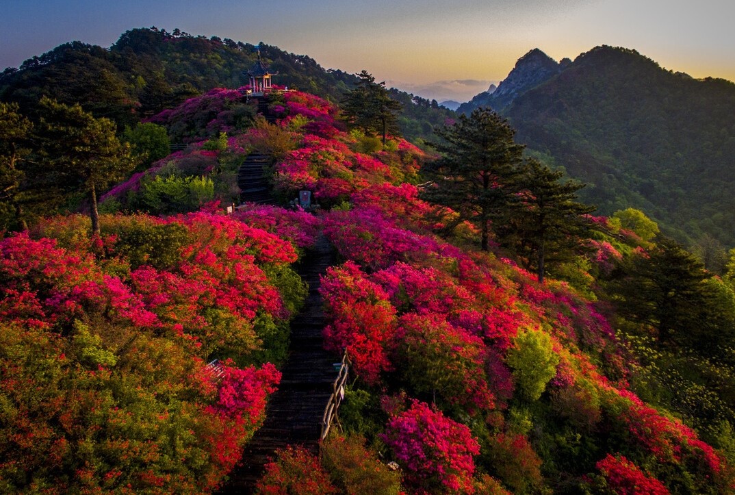 春天最适合小住三五天的12个地方，错过这些美景，又要等一年