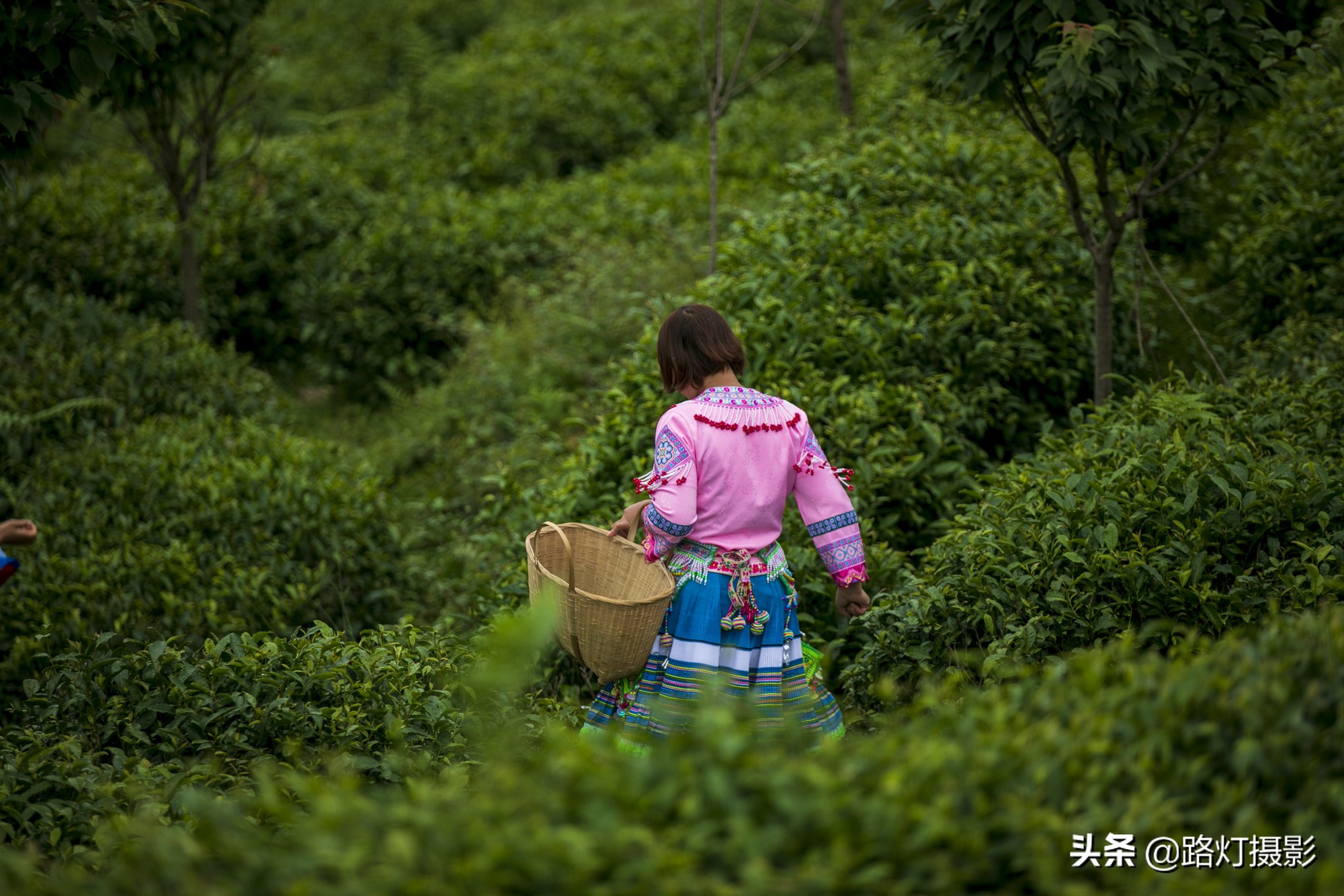 广西值得去的4个养生宝地,风光绝美很安逸,你猜到是哪里了吗?