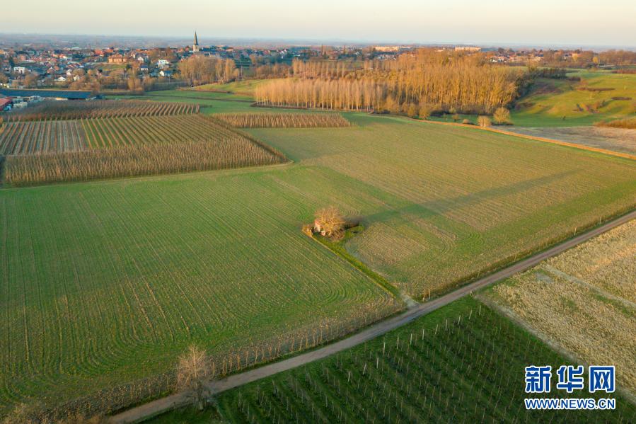 这是2月27日在比利时小镇博尔赫隆附近拍摄的田园风光（无人机照片）。近日，比利时乡村田园绿意盎然，春天的气息扑面而来。新华社记者张铖摄