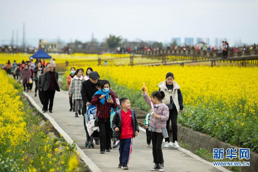 　　2月28日，游客在四川省广汉市高坪镇李堰村的花丛中漫步。　　初春的川西平原，金黄的油菜花、雪白的李花、粉红的桃花等竞相绽放，构成一幅美丽的乡村画卷，吸引不少游客前来踏青、赏花。　　新华社记者 江宏景 摄