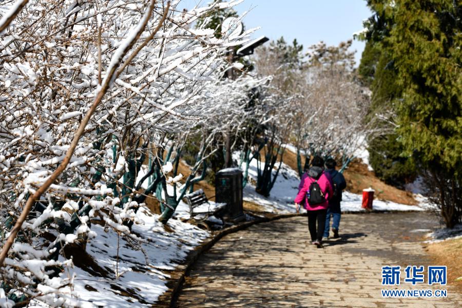 　　3月1日，游客在天津市南翠屏公园内游览。　　2月28日至3月1日凌晨，天津市全市范围内出现雨雪天气。　　新华社记者 赵子硕 摄