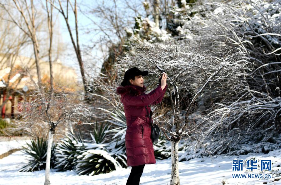 　　3月1日，市民在天津市南翠屏公园内拍摄雪景。　　2月28日至3月1日凌晨，天津市全市范围内出现雨雪天气。　　新华社记者 赵子硕 摄