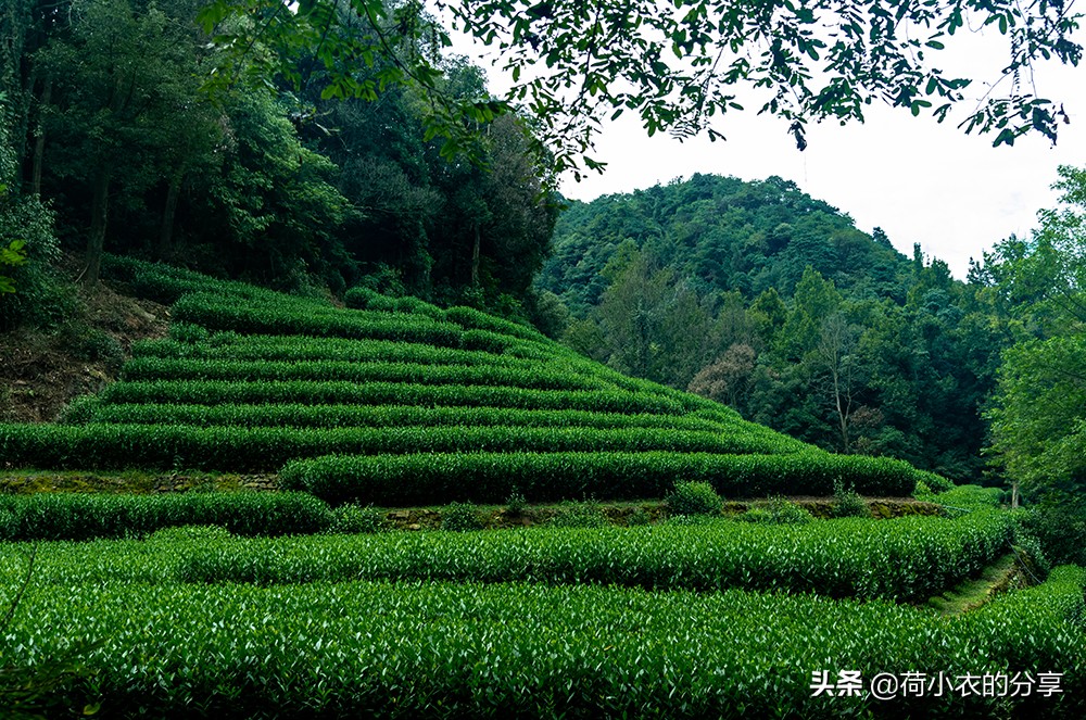 杭州必玩的5个著名景点,每一个都实至名归,建议全去一遍