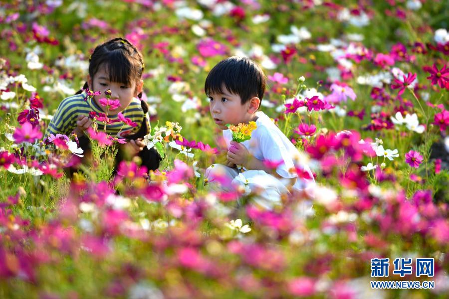 　　3月6日，小朋友在观看花朵。　　眼下，海口市近郊鲜花竞相盛放，吸引市民和游客前来观赏游玩。　　新华社记者 郭程 摄