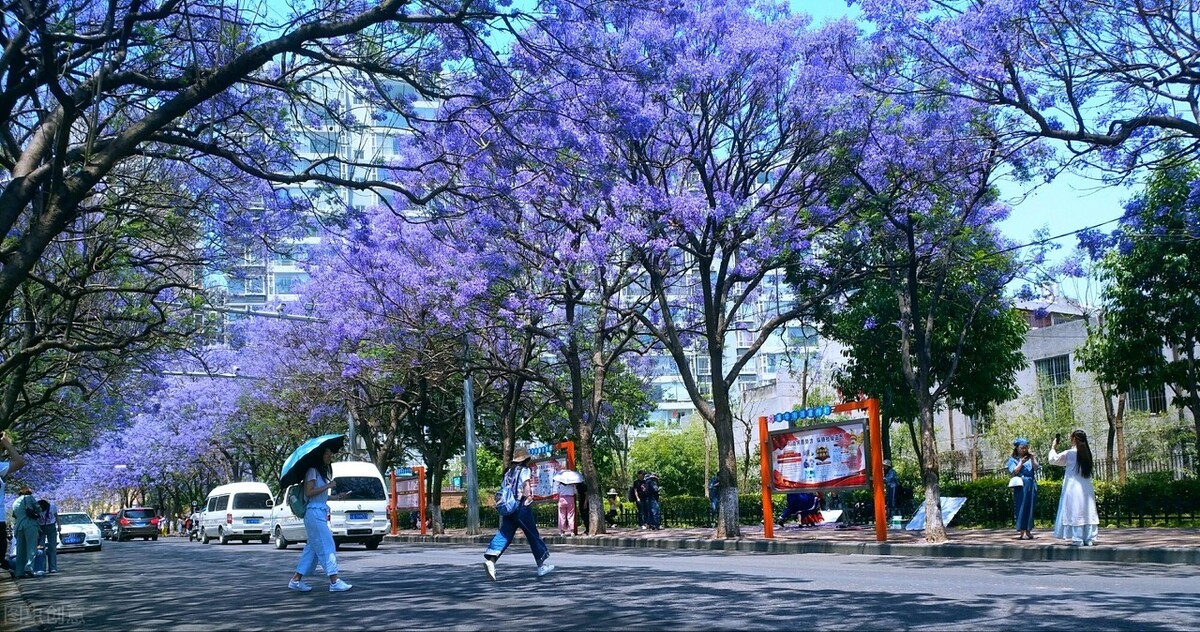 春天里最浪漫的十个旅行目的地，不负春光，我们至少要去一个地方