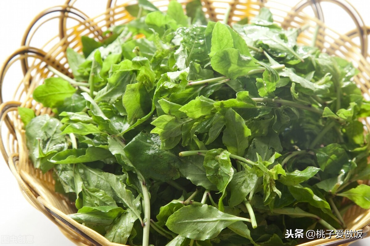 春天必吃的6种野菜,比肉还香,谁是你的心头好?