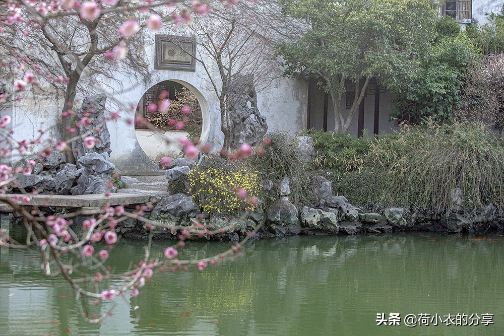 苏州最值得去的10个园林,除了拙政园之外,你还会考虑去哪个