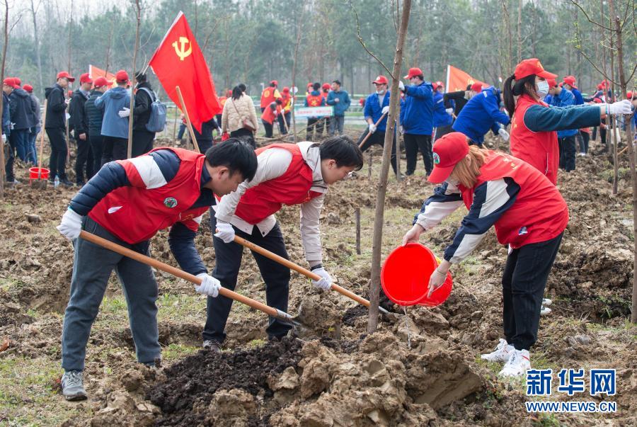 　　3月10日，在合肥滨湖国家森林公园，志愿者在种植杉树苗。　　当日，由共青团安徽省委员会、安徽省林业局主办的“青春心向党 践行林长制”植树公益活动在合肥滨湖国家森林公园启动，近300名市民、志愿者响应“绿色征集令”的号召，共赴森林公园种下杉树苗200余棵，在绿化自然环境的同时，传播绿色、低碳的生活理念。　　新华社记者 杜宇 摄