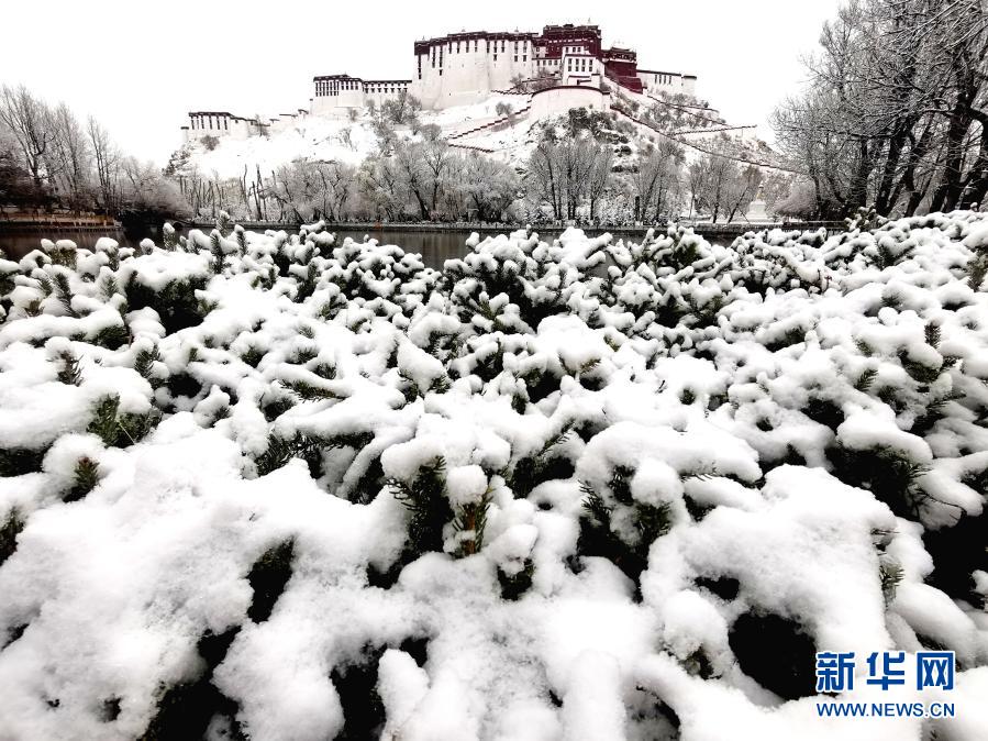 　　3月14日拍摄的雪中的布达拉宫。　　当日，西藏自治区拉萨市迎来一场降雪。　　新华社记者 觉果 摄