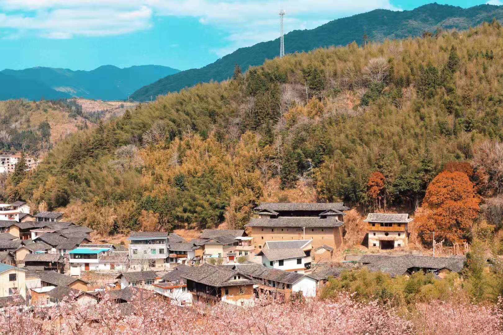 这才是中国春天适合自驾的10条线路,3-5月沿途美成天堂