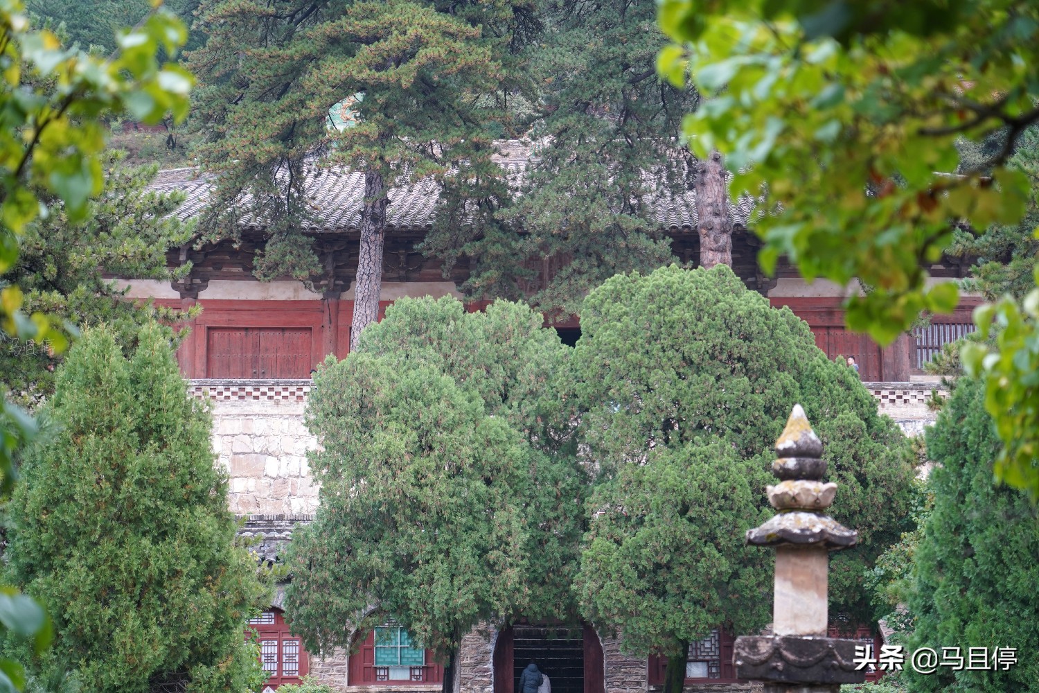 山西有个古寺，游客不多却藏有中国少有的唐代木建筑，关键还免费