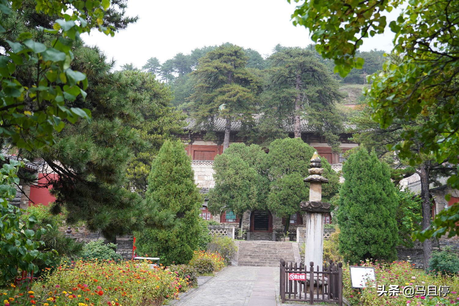 山西有个古寺，游客不多却藏有中国少有的唐代木建筑，关键还免费