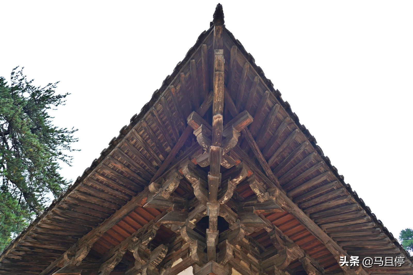 山西有个古寺，游客不多却藏有中国少有的唐代木建筑，关键还免费