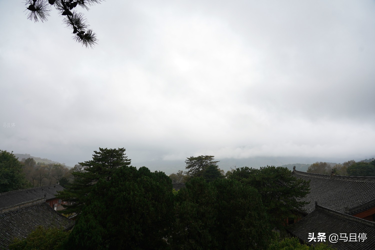 山西有个古寺，游客不多却藏有中国少有的唐代木建筑，关键还免费