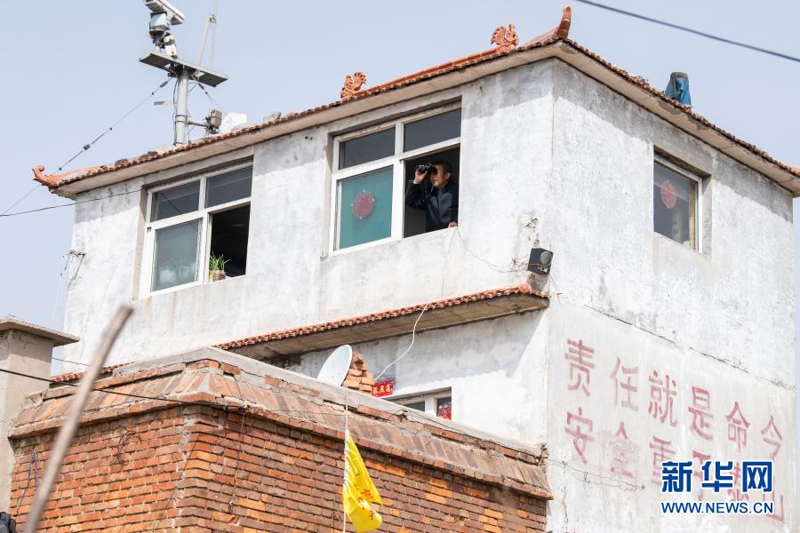 　　3月16日，秦安松在打虎岭林场的瞭望塔监控火情。　　位于山西省长治市平顺县的打虎岭林场平均海拔超过1700米，是平顺县面积最大的一片林场。今年72岁的秦安松已经在这里工作了51个年头。　　刚到打虎岭做护林员的时候，秦安松只有21岁。51年来，秦安松走遍了打虎岭林场的每一个角落，从一名护林员逐渐成长为林场场长。　　近期，秦安松十分忙碌。每天，秦安松要带领护林员巡山护林、监控森林火险，连续作业近10个小时，忙的时候连口水都顾不上喝。　　护林工作虽然辛苦，但看到一棵棵树苗茁壮成长，林场面积不断扩大，秦安松倍感欣慰。“我的名字叫安松，守护林场就是我的使命。”秦安松说。　　新华社记者 杨晨光 摄