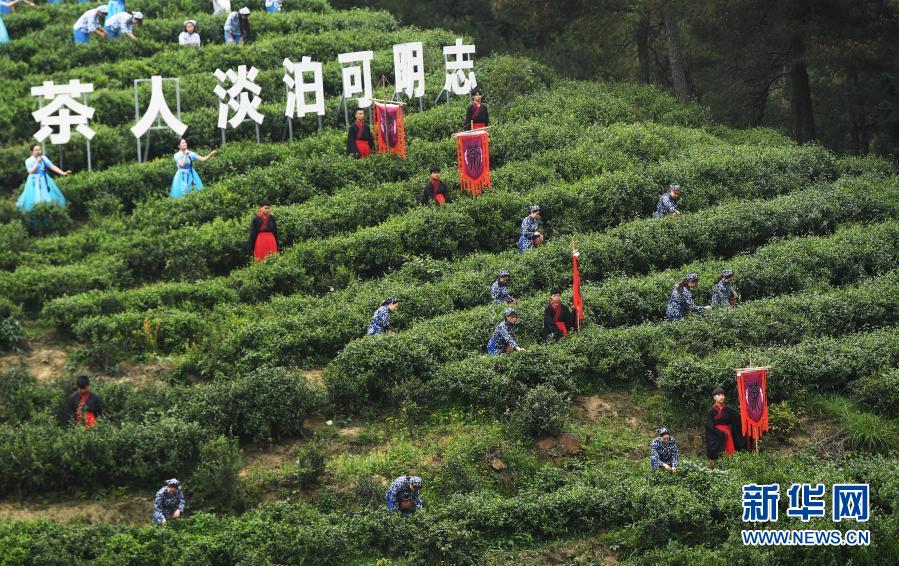 　　3月18日在大足区古龙镇忠义村拍摄的开茶仪式。　　当日，“天下大足·醉美乡村”——重庆大足二十四节气特色活动之“古龙秀叶香”首届茶文化节在大足区古龙镇忠义村拉开帷幕。此次文化节旨在推动大足区茶产业和乡村文化旅游发展，助力乡村振兴。　　新华社记者 王全超 摄