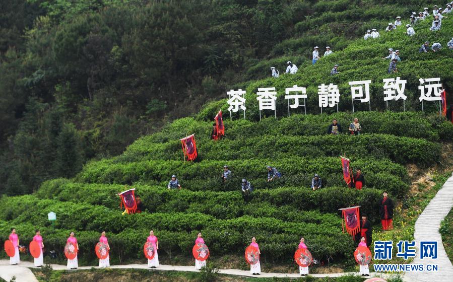 　　3月18日在大足区古龙镇忠义村拍摄的开茶仪式。新华社记者 王全超 摄