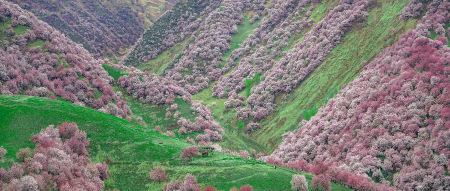 4月最佳旅行地推荐，这10个地方值得一去