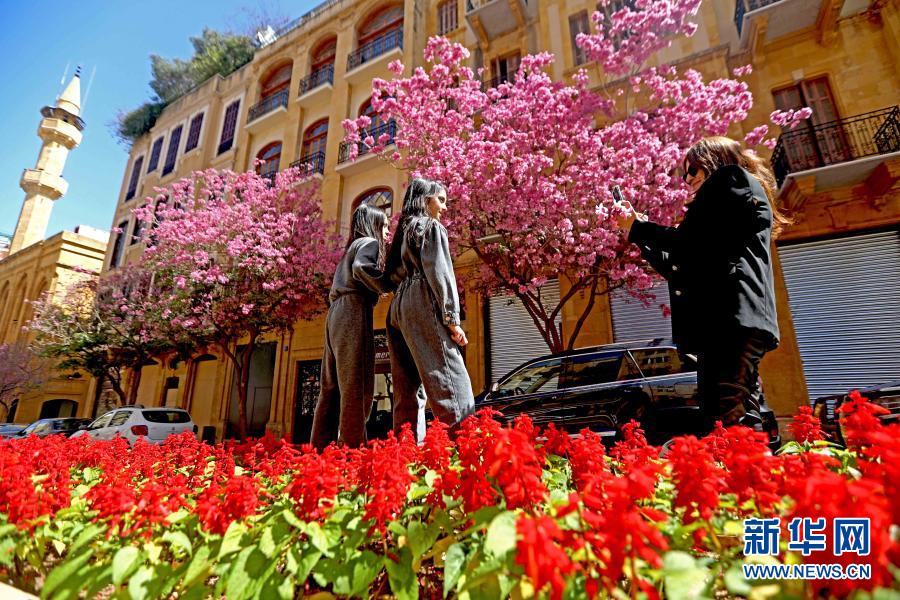 　　3月21日，人们在黎巴嫩贝鲁特街头盛开的春花前拍照。新华社发（比拉尔·贾维希摄）