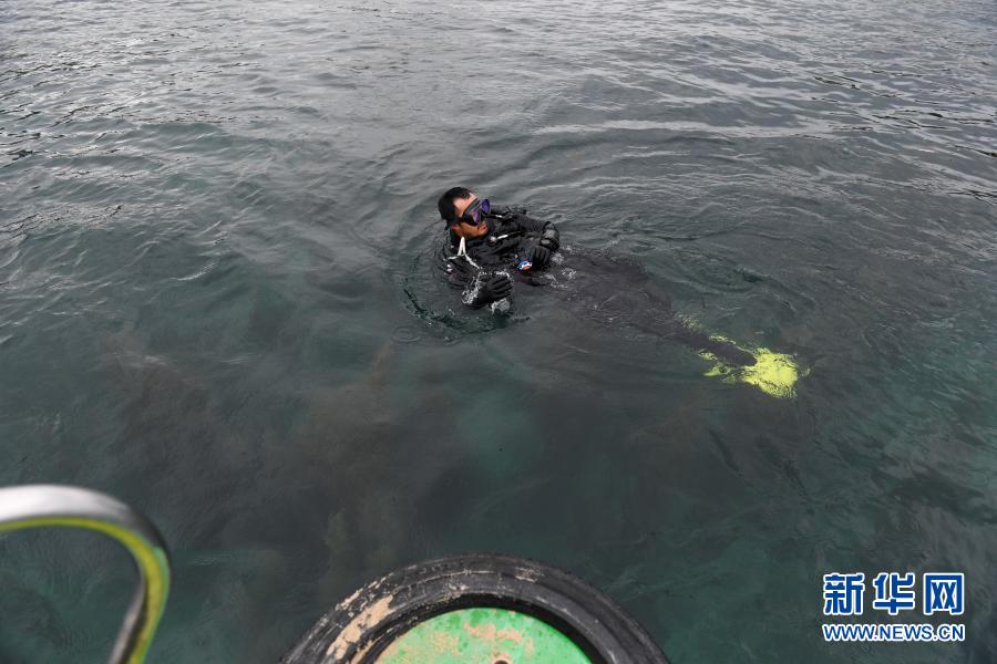 　　3月21日，志愿者在深圳大鹏金沙湾海域准备潜水扶植珊瑚。　　当天是世界森林日，来自深圳的志愿者在深圳大鹏金沙湾海域举行“珊瑚扶植”活动。来自各行各业的10名志愿者下海清理垃圾，收集珊瑚残肢并固定在特定区域的苗圃上。未来，这些珊瑚稳定成长并恢复生机后，将会被放回海底的礁石上，此次活动旨在呼吁更多人关注“海底森林”——珊瑚礁，加强公众对海洋生态的保护意识。　　新华社记者 毛思倩 摄