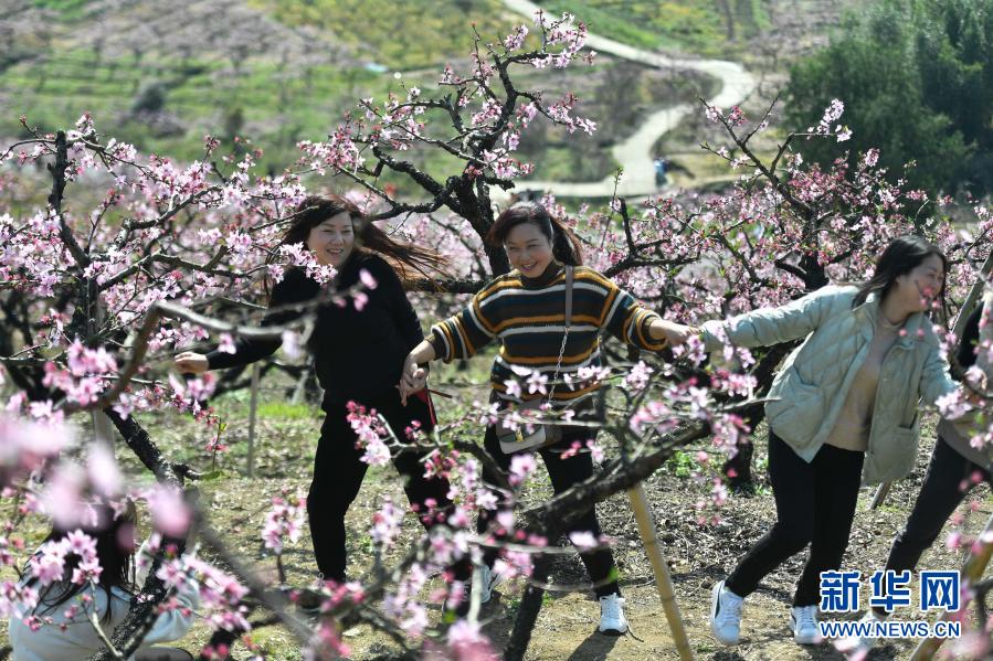 　　3月22日，游客在奉化区萧王庙街道林家桃园内留影。　　连日来，浙江宁波奉化区萧王庙街道上万亩连片种植的桃花陆续绽放，吸引不少游客到此赏花踏青。奉化于1996年被命名为“中国水蜜桃之乡”，水蜜桃种植面积超过5万亩。　　新华社记者 黄宗治 摄